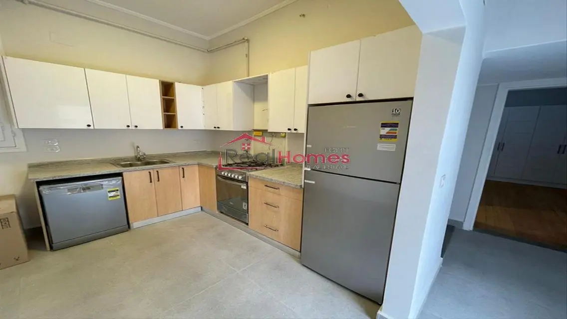 Renovated nile view apartment with terrace