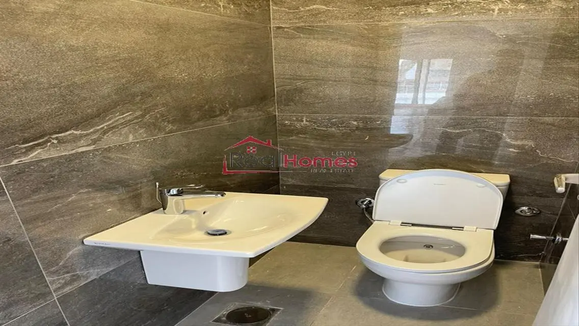 Renovated nile view apartment with terrace