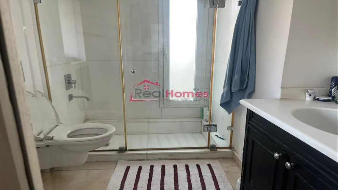 Modern duplex with nile view terrace 3bedrooms