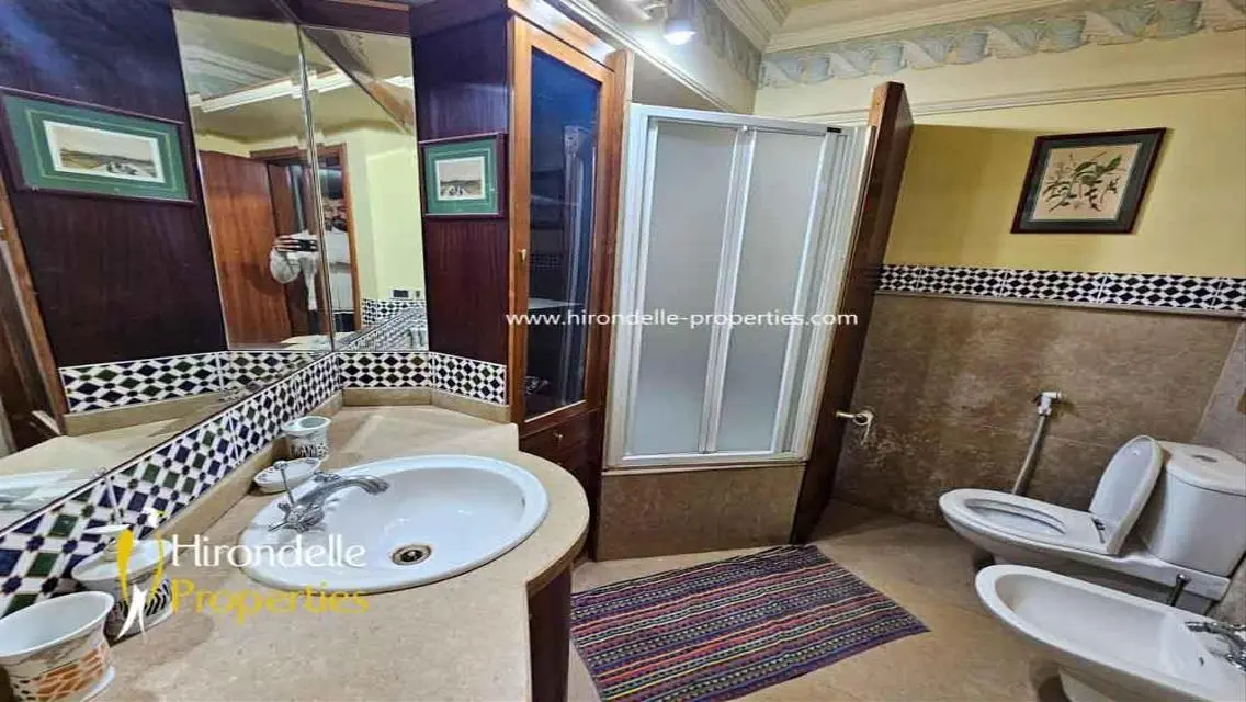 Fully Furnished Flat For Rent In Maadi Sarayat
