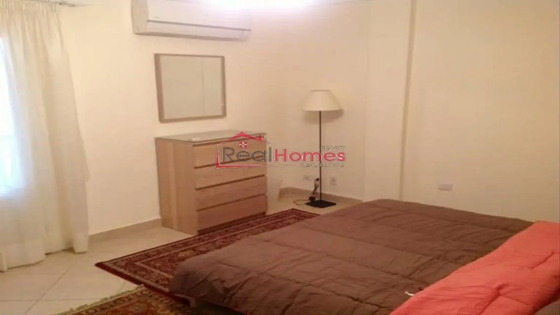 Modern one bedroom apartment nile view terrace