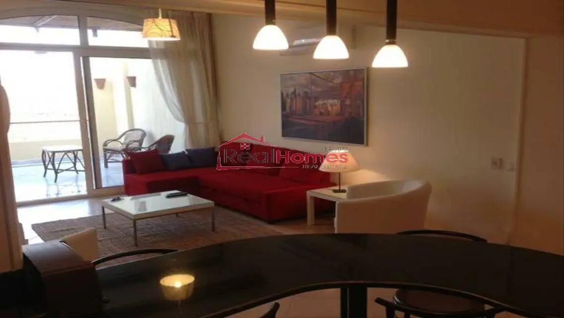 Modern one bedroom apartment nile view terrace