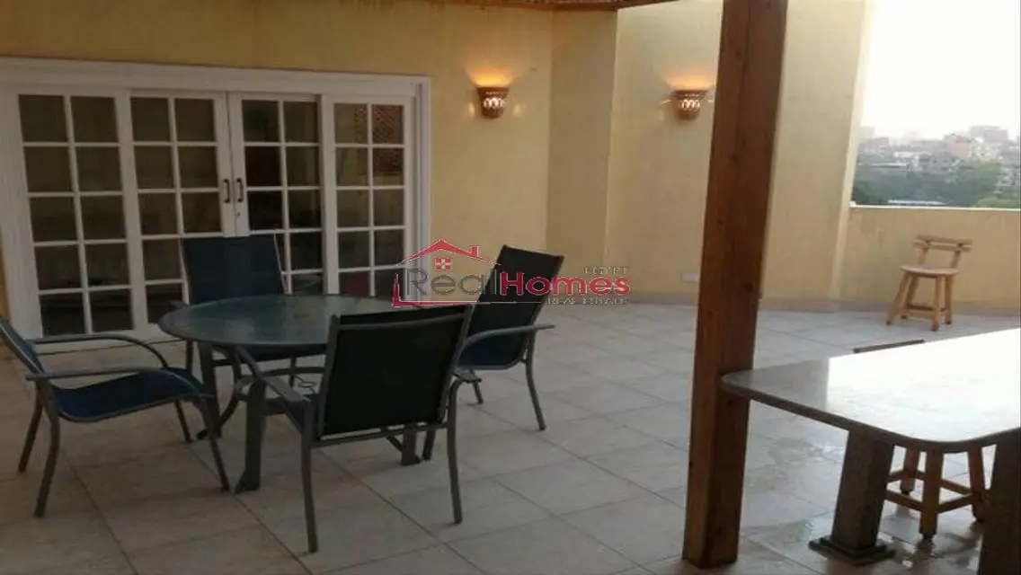 Modern one bedroom apartment nile view terrace