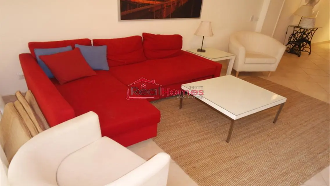 Modern one bedroom apartment nile view terrace