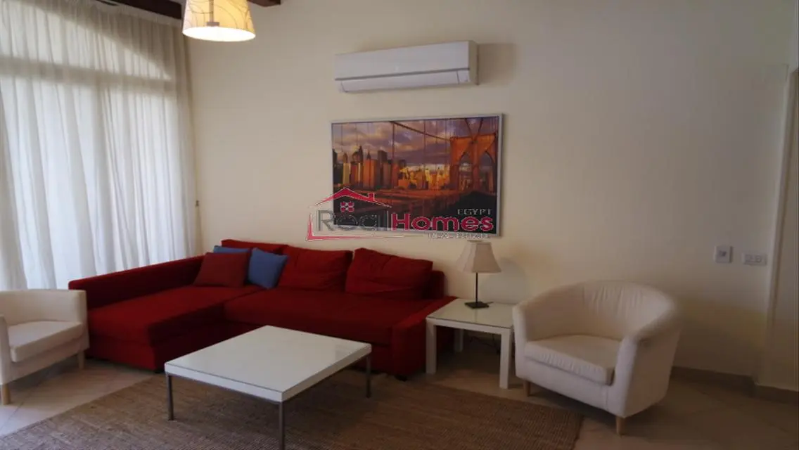 Modern one bedroom apartment nile view terrace