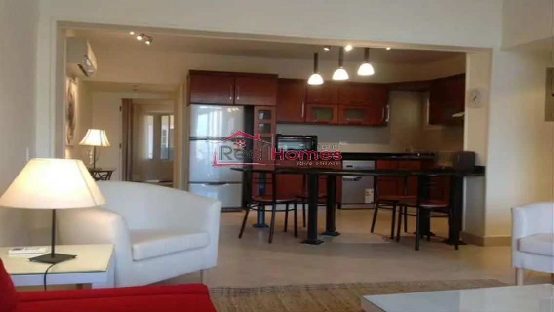 Modern one bedroom apartment nile view terrace