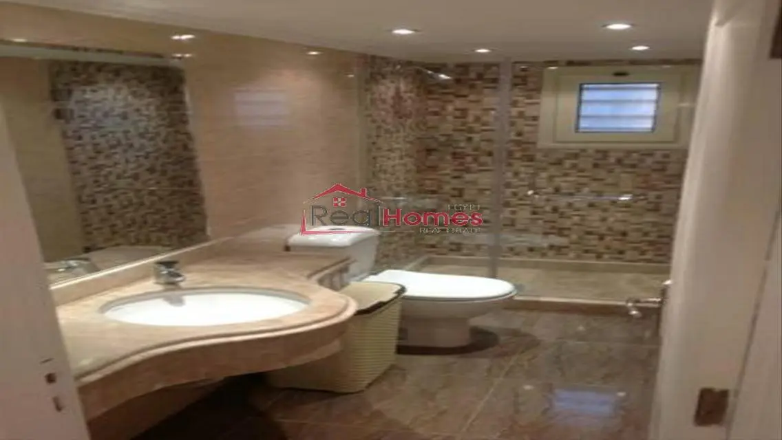 Modern one bedroom apartment nile view terrace
