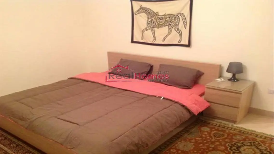 Modern one bedroom apartment nile view terrace