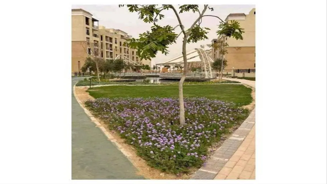 With a down payment of 415 thousand, own a studio