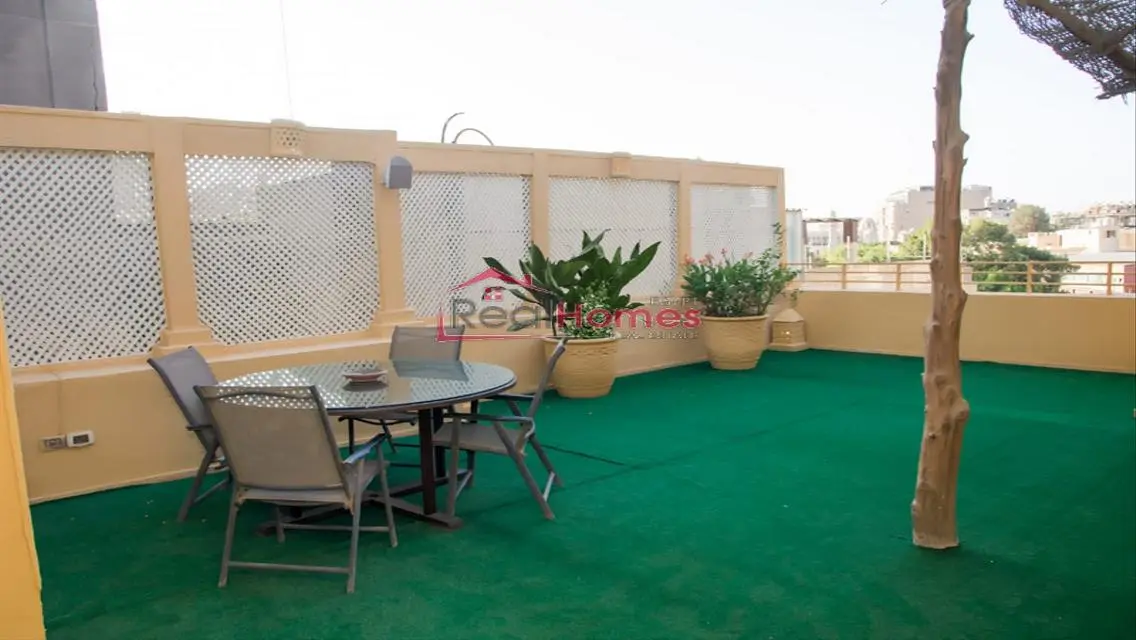 Stylish apartment with huge terrace in zamalek