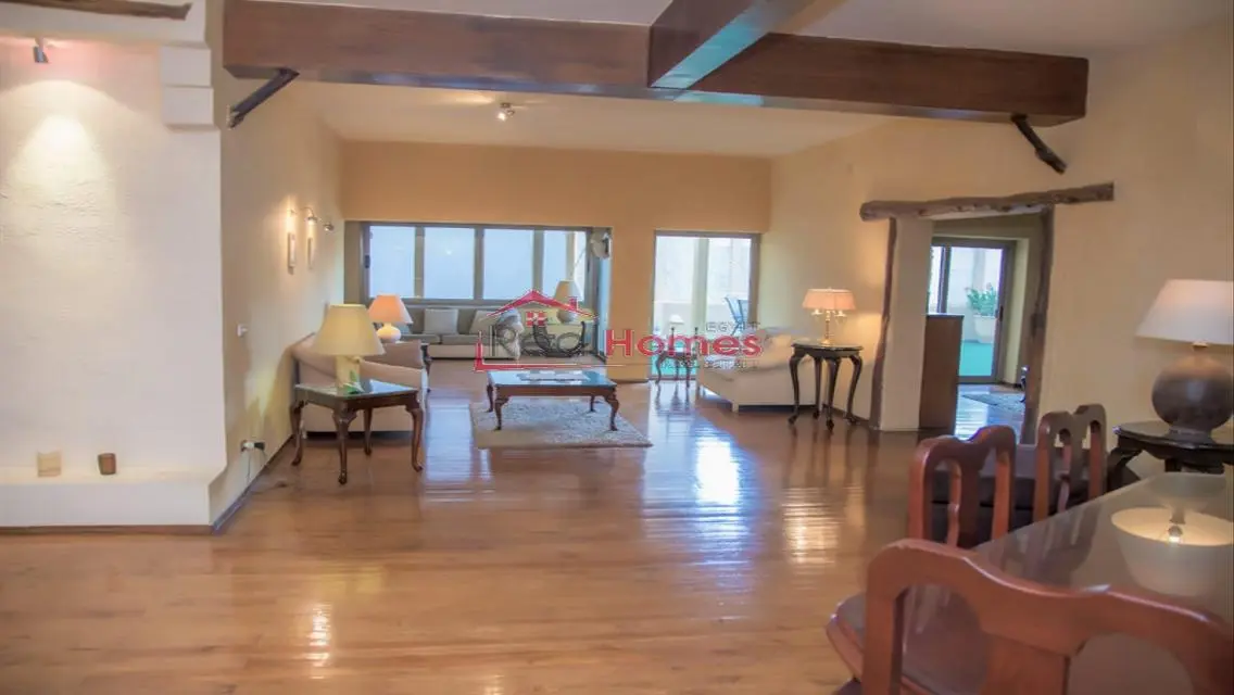 Stylish apartment with huge terrace in zamalek