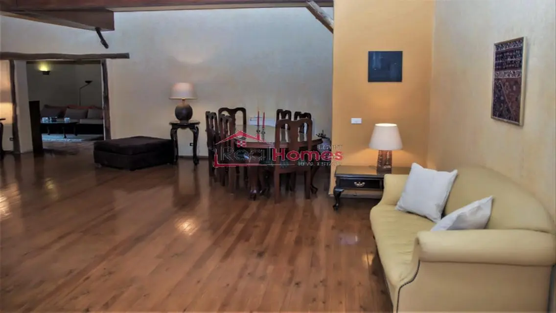 Stylish apartment with huge terrace in zamalek