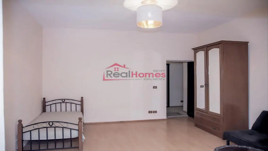 Stylish apartment with huge terrace in zamalek