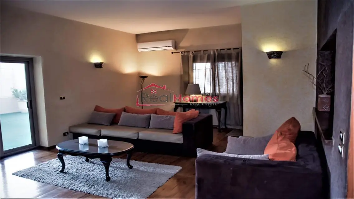 Stylish apartment with huge terrace in zamalek