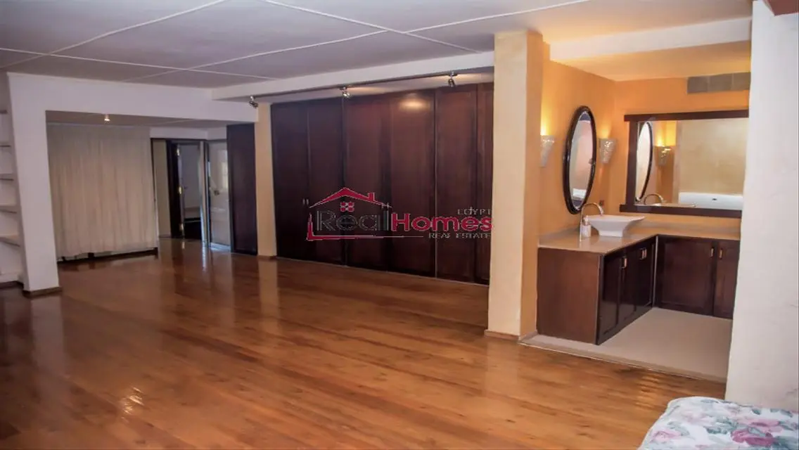 Stylish apartment with huge terrace in zamalek