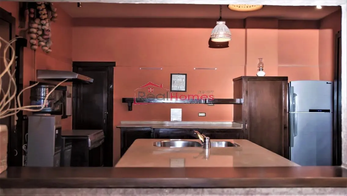 Stylish apartment with huge terrace in zamalek