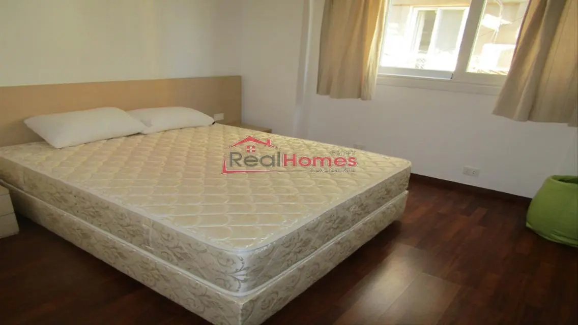 Bright apartment garden view in zamalek
