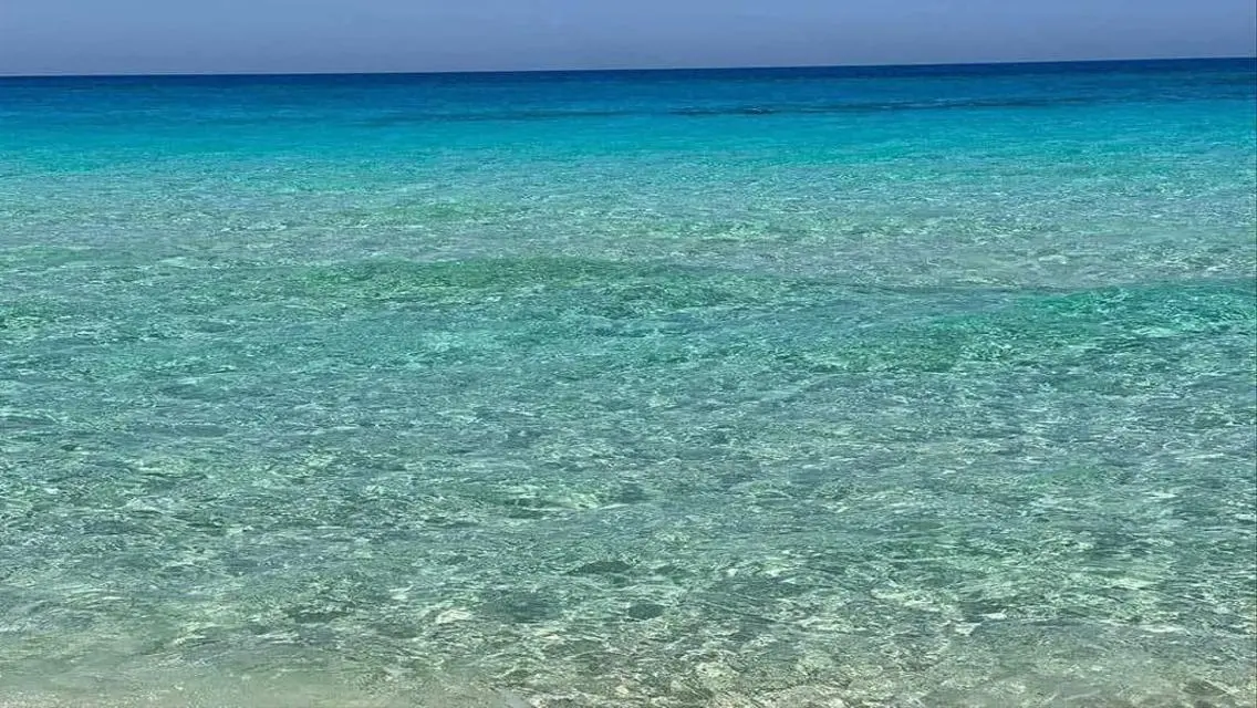 شالية للبيع في هاسيندا ويست متشطب وفيو علي البحر