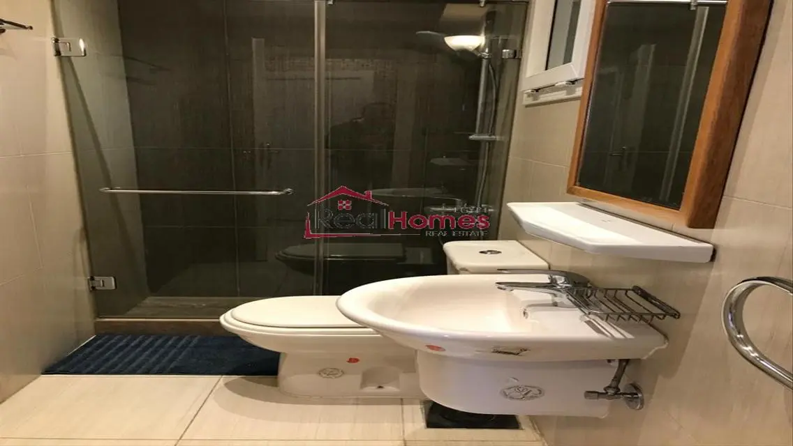 Fully furnished duplex with terrace for rent