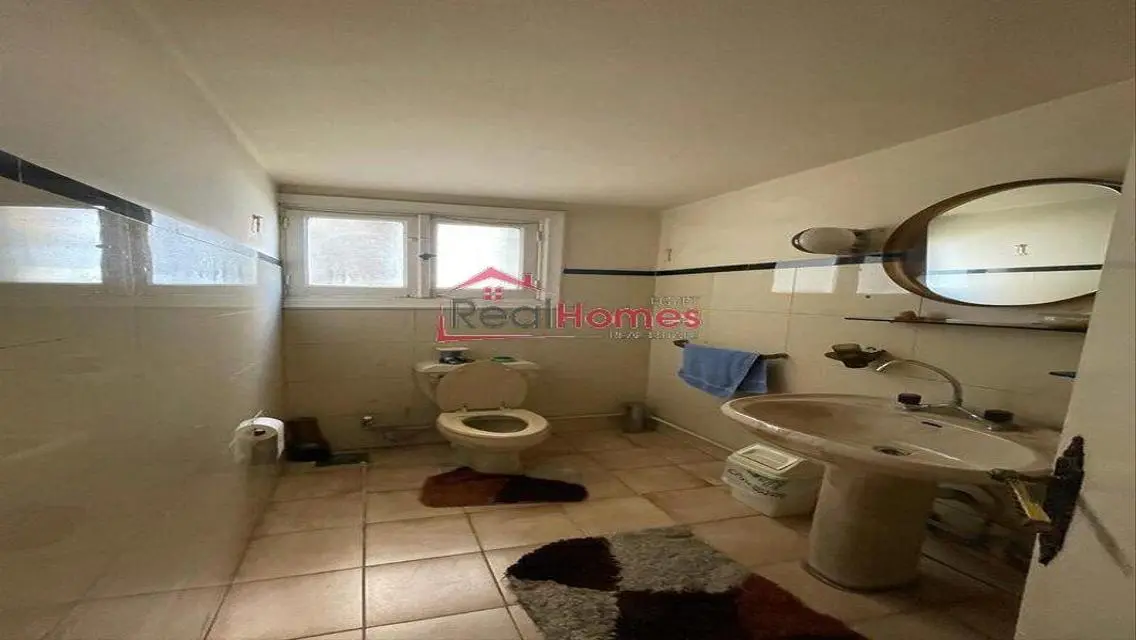 Unique nile view apartment with terrace for sale