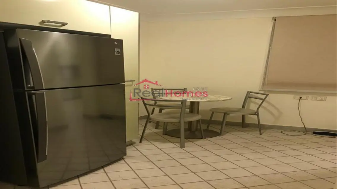 Newly renovated apartment in High ceiling building