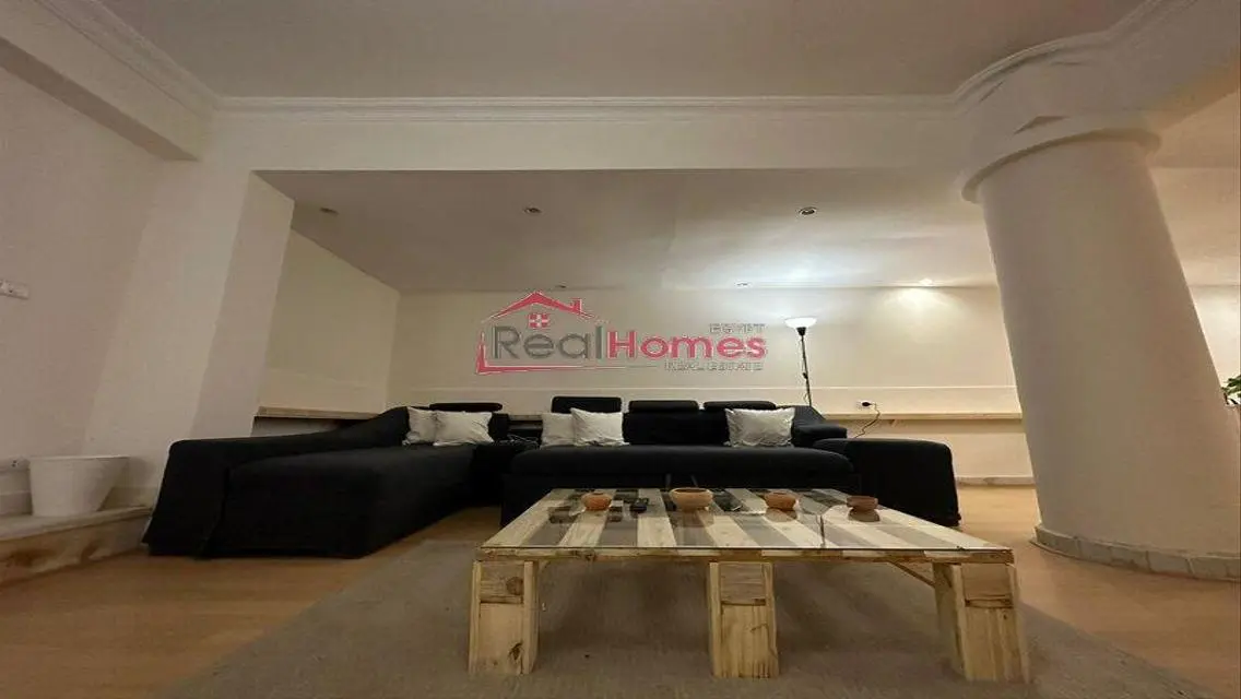 Unique modern apartment for rent gezeera street