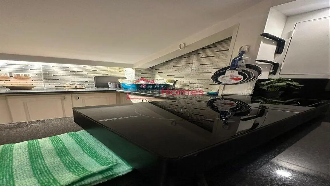 Unique modern apartment for rent gezeera street
