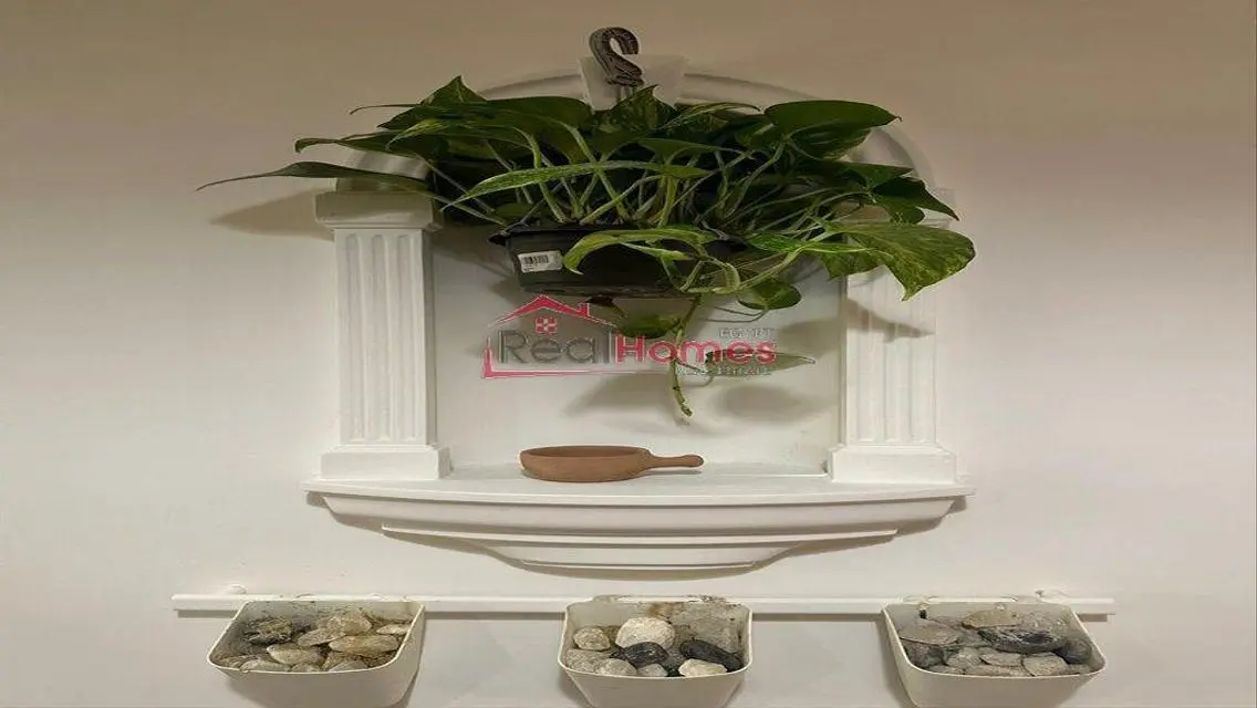 Unique modern apartment for rent gezeera street
