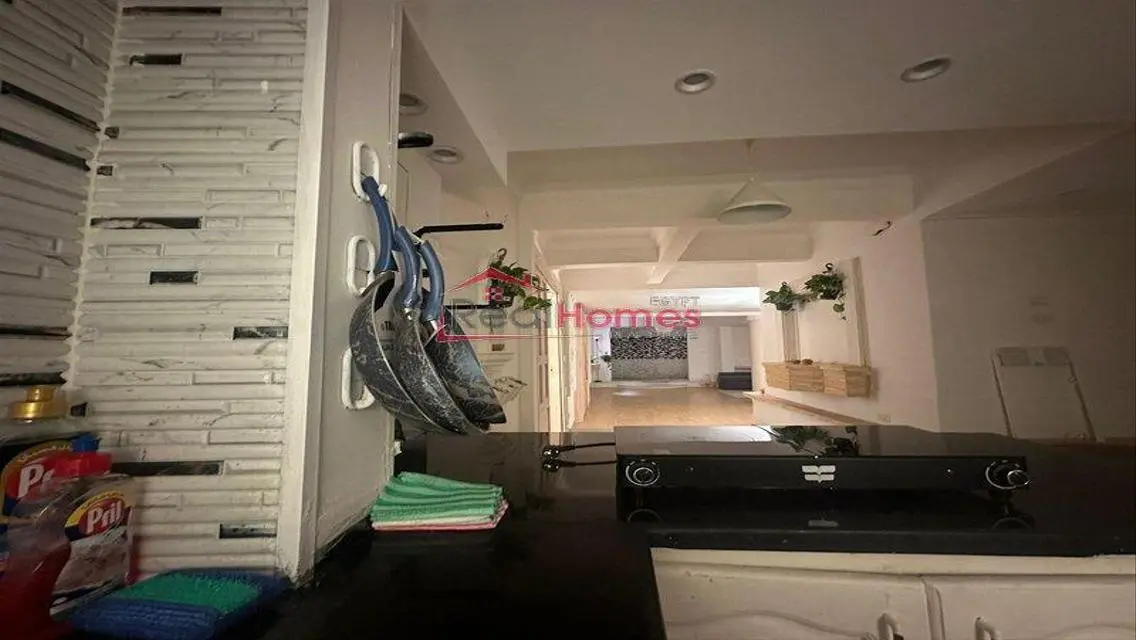Unique modern apartment for rent gezeera street