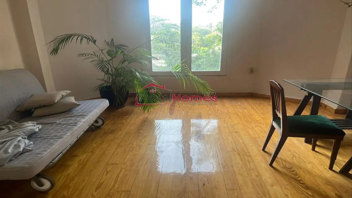 Bright high ceiling furnished apartment for rent