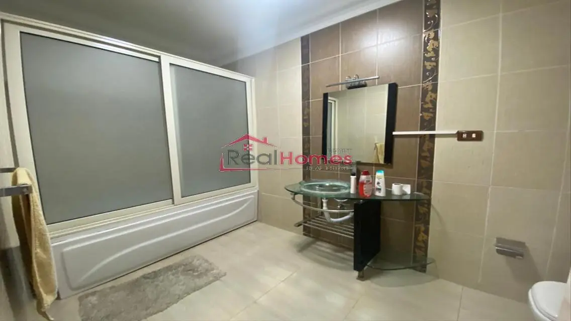 Fully furnished apartment for rent in Zamalek