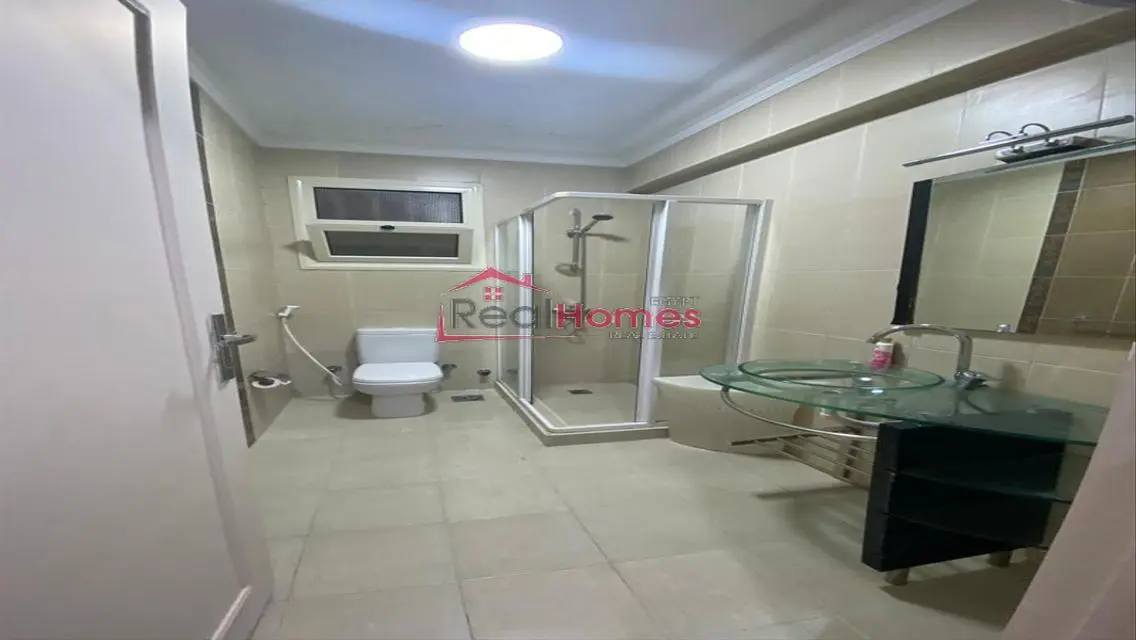 Fully furnished apartment for rent in Zamalek