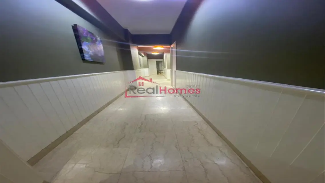 Fully furnished apartment for rent in Zamalek