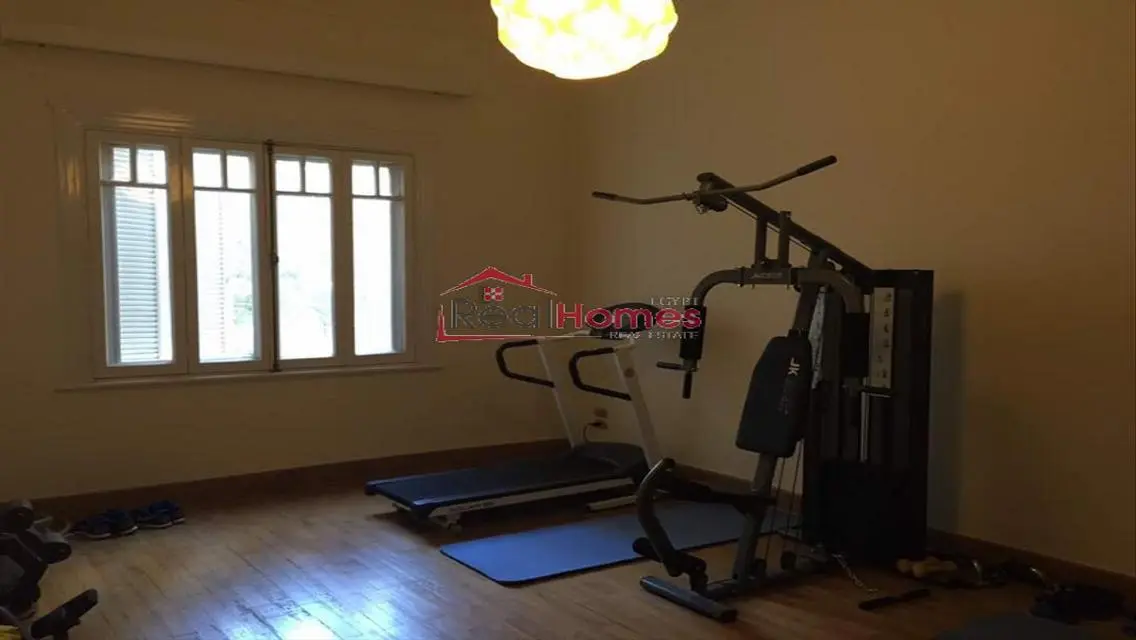 High ceiling renovated apartment unique building