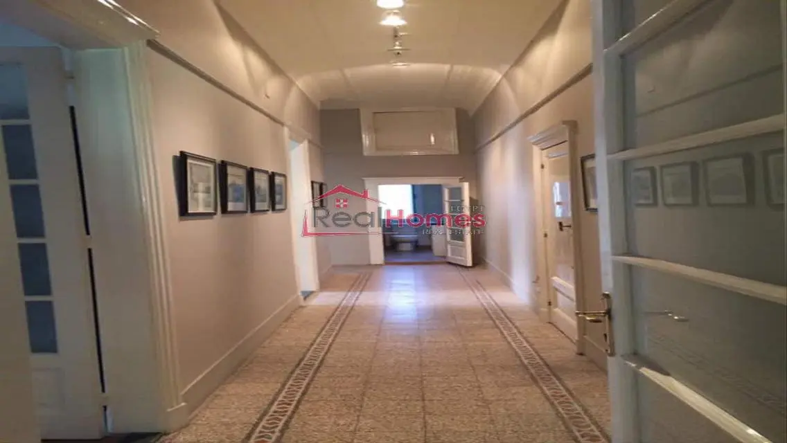 High ceiling renovated apartment unique building