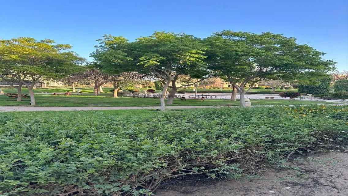 Villa for sale in a prime location in Hyde Park