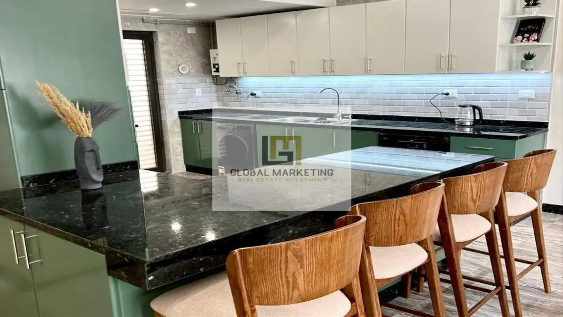 Luxury Furnished Apartment - for rent in Lake View