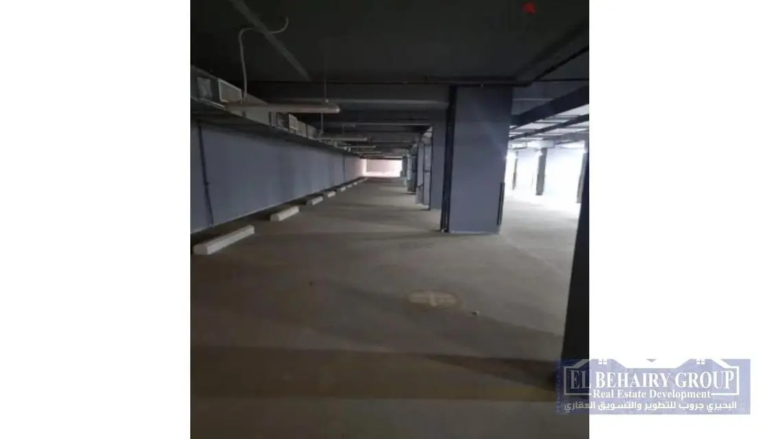 Luxury Apartment in R3