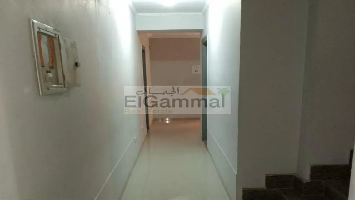 Luxurious Apartment with Spacious Private Garden