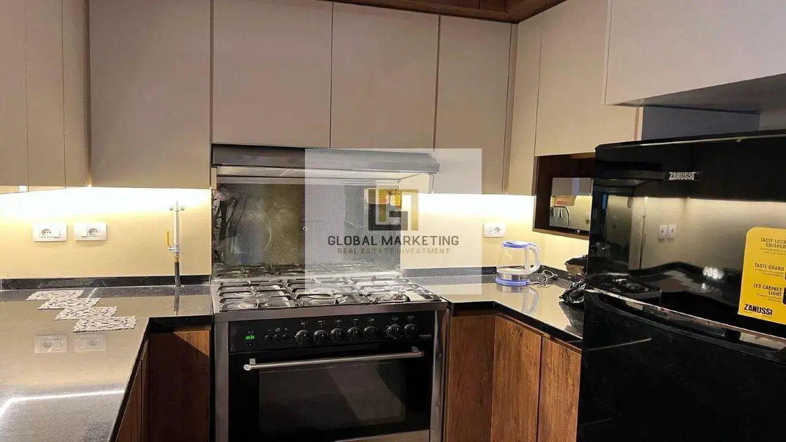 Apartment for rent in villette-sodic furnished .