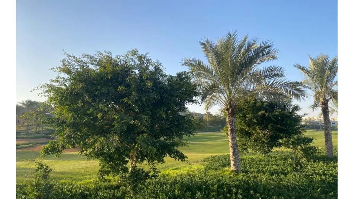 Villa for sale in Katameya Dunes