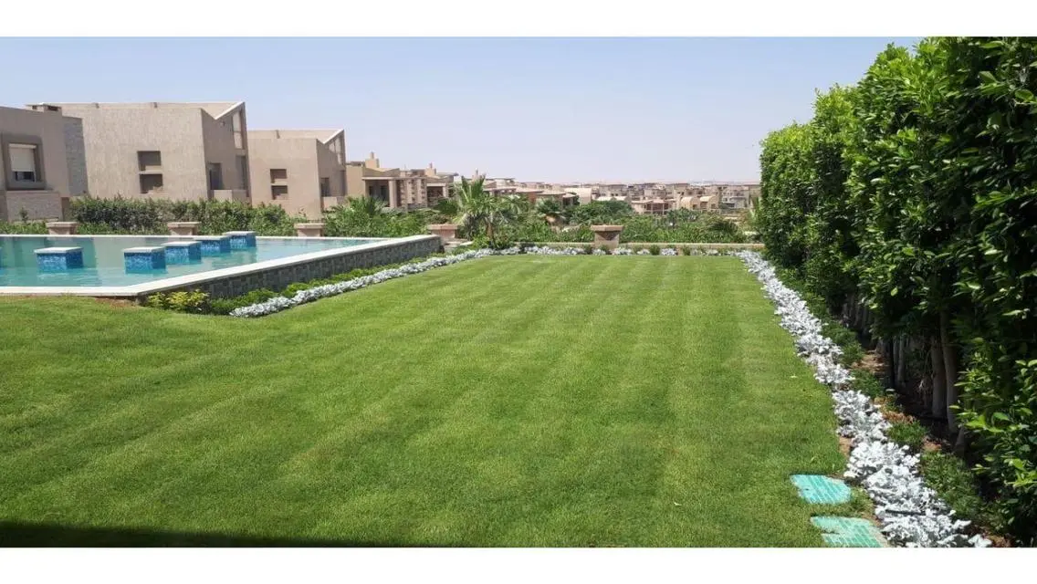 ڤيلا اليجريا ايجار ألارض مساحتها ٨٤٨  المباني 400