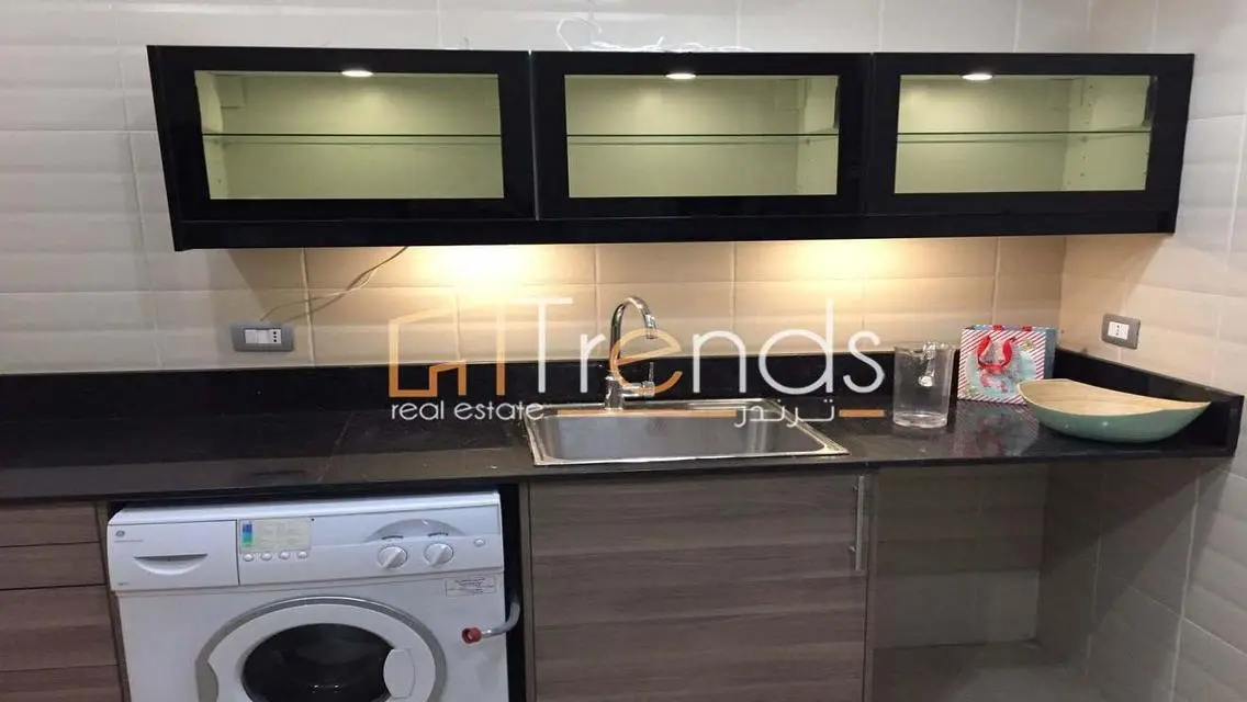 Luxury Fully Finished Apartment in The Village