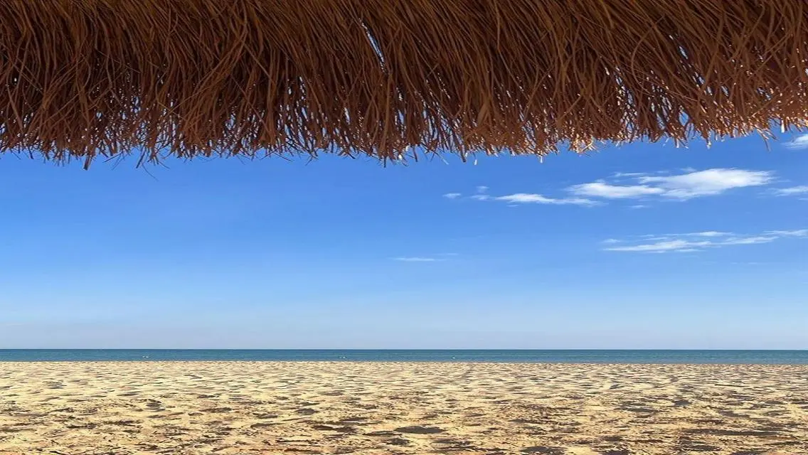 شاليه برووف خاص تكملة أقساط يطل على حمام السباحه