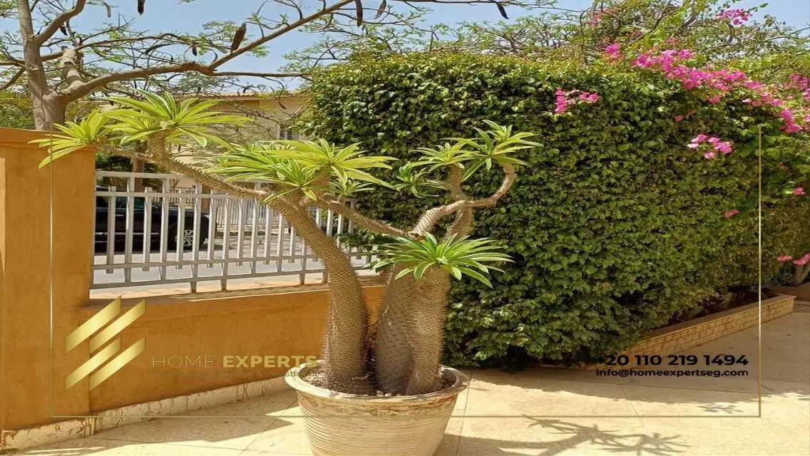 فيلا فاخرة للإيجار في سوان ليك