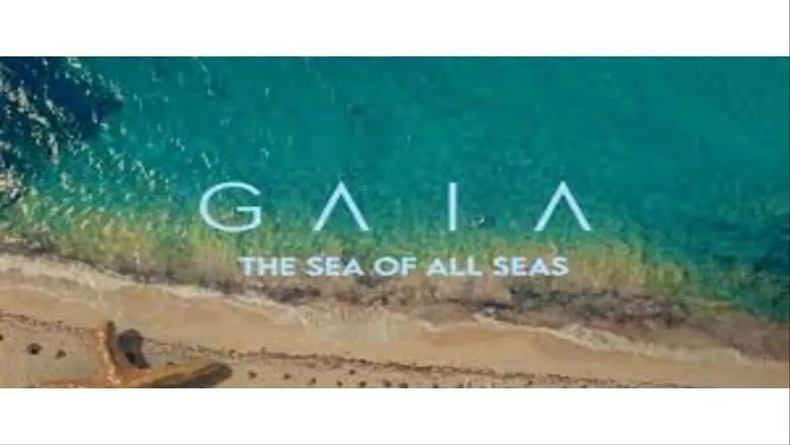 Chalet For sale in GAIA - Pool &amp; greenery view