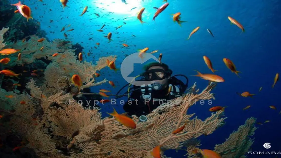 APART FOR SALE IN SOMA BAY ON LAGOON WITH 10% DP