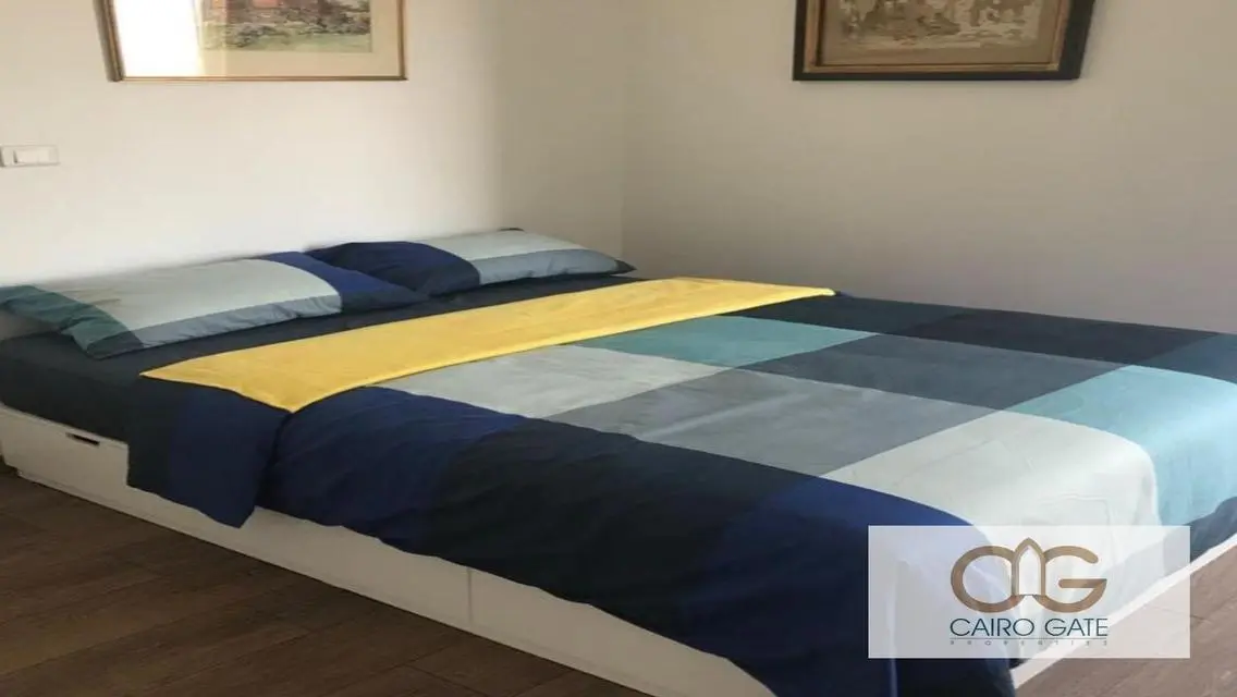 Prestigious panoramic City view in Zamalek south
