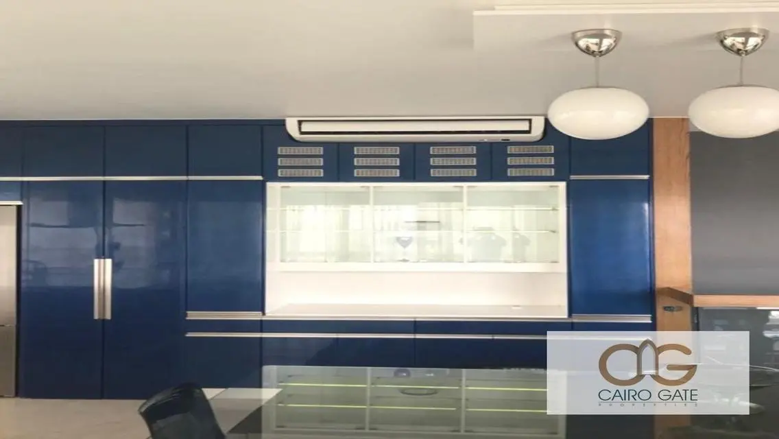 Prestigious panoramic City view in Zamalek south