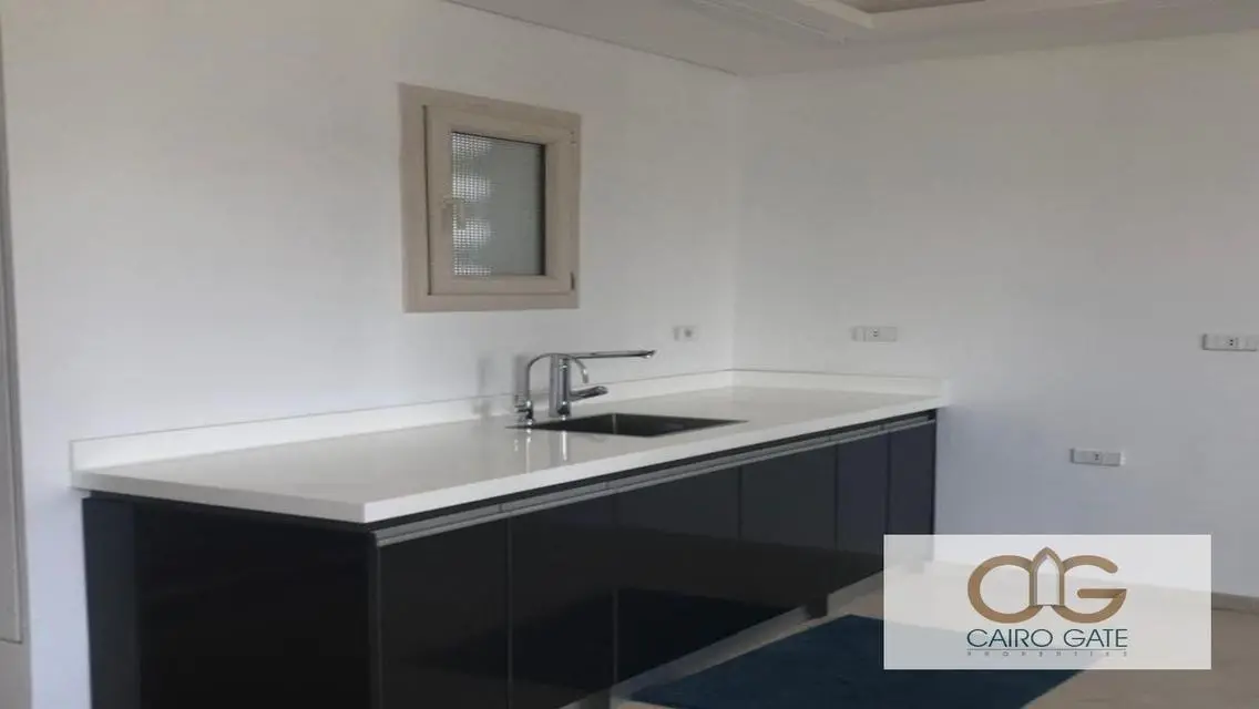 Prestigious panoramic City view in Zamalek south